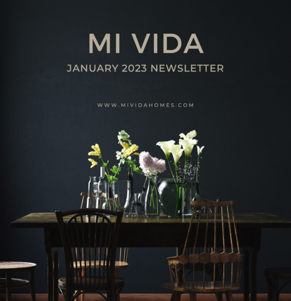 Mi Vida January 2023 Newsletter